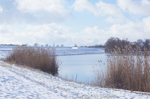 Beautiful winter landscape at the river Oder in January