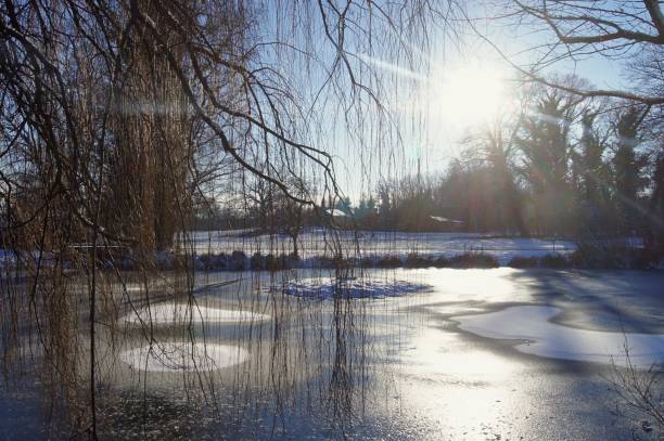istock Winter scenes in natural park 