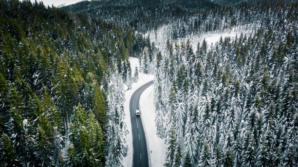 istock Curvy windy road in snow covered forest, top down aerial view 1299830823