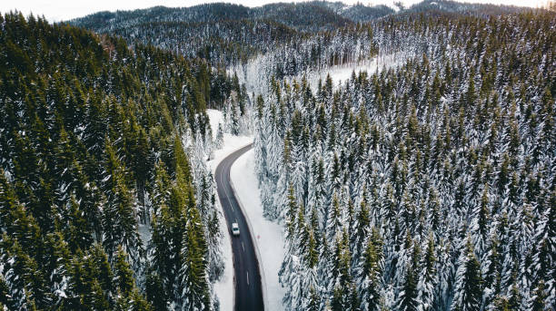 istock Curvy windy road in snow covered forest, top down aerial view 1299830978