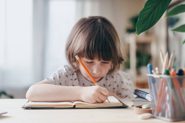 istock Back to school. Boy at home with laptop 1299831720