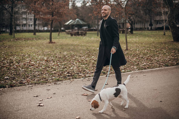 istock Man walking a dog in park 1299832080