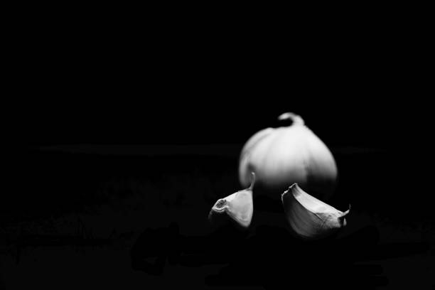 black and white photograph of a garlic lit with low intensity to highlight the details of the peel.