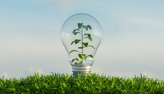 glass bulb on a ground full of vegetation with a background of clouds and a plant inside it. 3d render