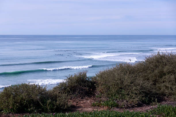 istock Ocean View Encinitas California Surfers Beach Low Tide Sunny Day Cliffs and waves 1299833712