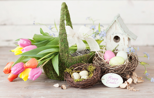 Spring Tulips in an Easter Basket against a Rustic Background