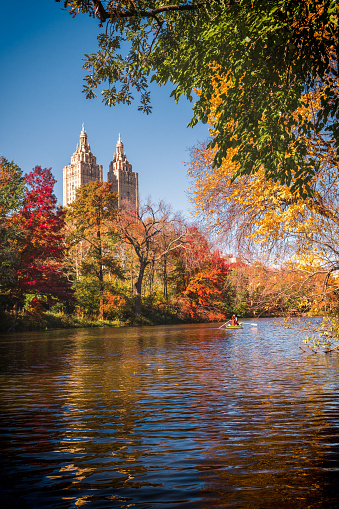 A couple in a row boat admires the beautiful view of Central Park during peak fall foliage season.  Showing off the many different colors in the leaves, and the classic tree and skyline from the famous public park.