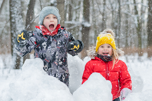 Children play in snowy forest. Kids outside in winter. Siblings playing in snow.