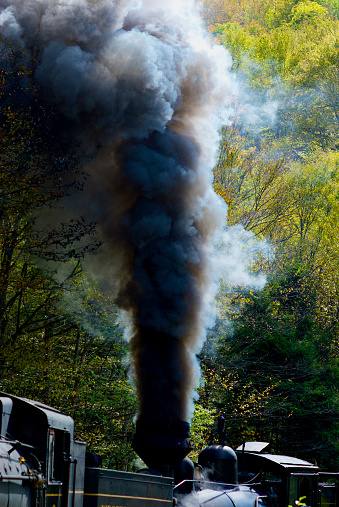 Cass, West Virginia / USA - October 9, 2016: One of two historic steam locomotives of the Cass Scenic Railroad billows smoke as it pushes passenger cars uphill toward Bald Knob.