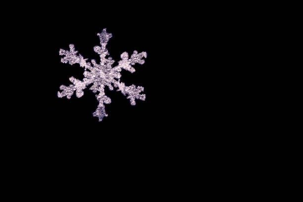 istock Macro Photography of Snowflake 1299840910