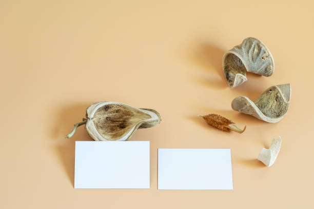 istock Branding business card mockup template on neutral beige background with dry flor elements. White blank for displaying your logo or design, top view. 1299842050