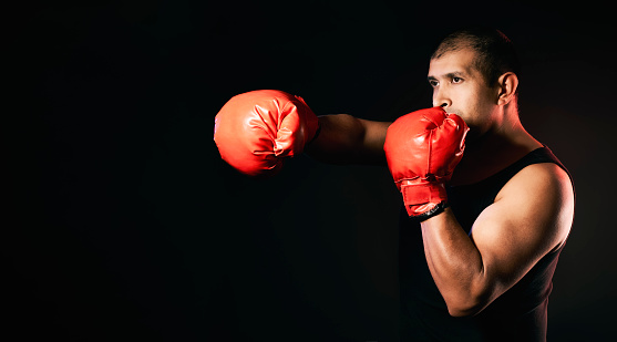 Hispanic male boxer fights and trains with boxing gloves and wears a t-shirt that shows off his strong and muscular arms. Isolated on black background with copy space