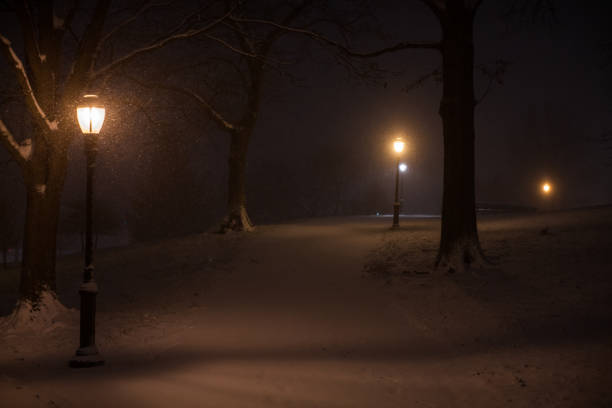 City during bad weather: snowfall and blizzard. Everything is covered with snow. Vintage lanterns in the park light up the dark. Some of the lights are in the foreground, some are visible in the distance. They glow shines with a warm yellow light. Snow continues to fall and snowflakes are visible flying in the air. The park path is not straight. The background is out of focus also due to the strong snow mist. Twilight in the park of the city of New York. December 16, 2020. NYC. Brooklyn. Bay Ridge. New York. USA