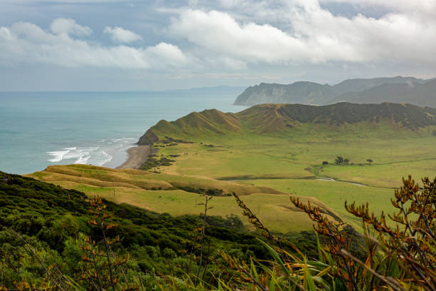 A view from the top of the East Cape hill, New Zealand A photograph of a view from the top of the East Cape hill to the wide green valley and the surf waves on the ocean. Cloudy summer day. headland stock pictures, royalty-free photos & images