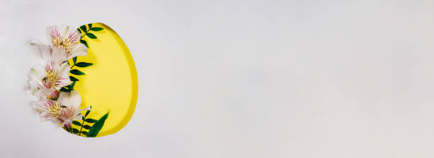 istock Frame made of paper and live plants. Banner. 1299848007