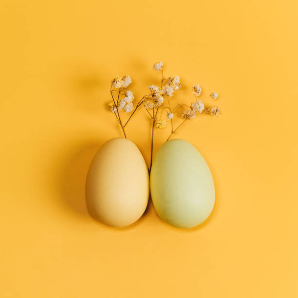 istock Creative flat lay photo of easter eggs on colorful background. 1299849359