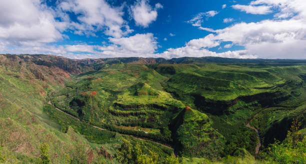 park stanowy waimea canyon, kauai hawaje - waimea canyon state park zdjęcia i obrazy z banku zdjęć