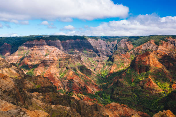 waimea canyon state park, kauai hawaii - waimea canyon state park imagens e fotografias de stock