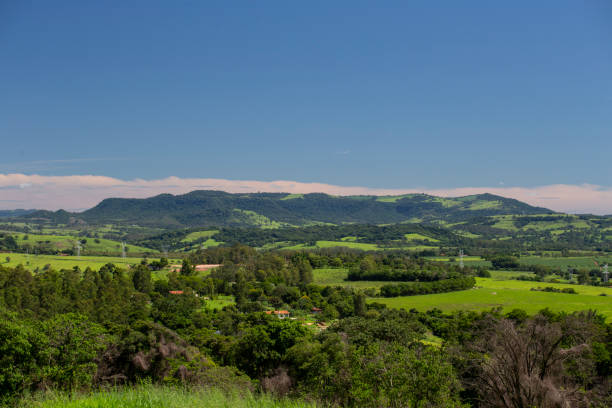 istock Field landscape in Brazil 1299855011