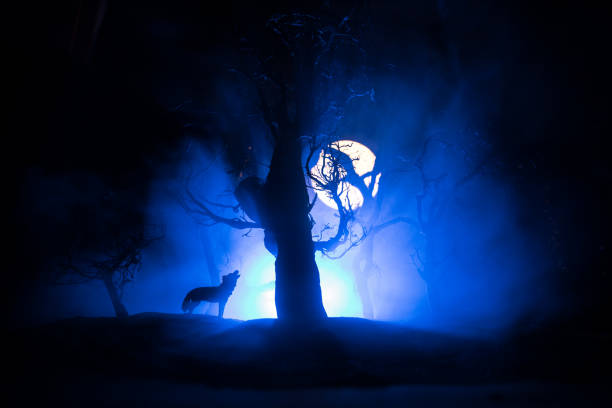 istock Silhouette of howling wolf against dead forest skyline and full moon. Creative artwork decoration. 1299855113