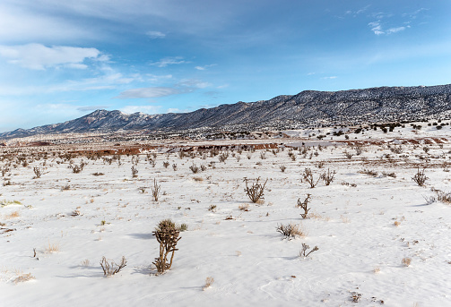 Panorama of large snow covered mountain range with cactus in front in rural New Mexico