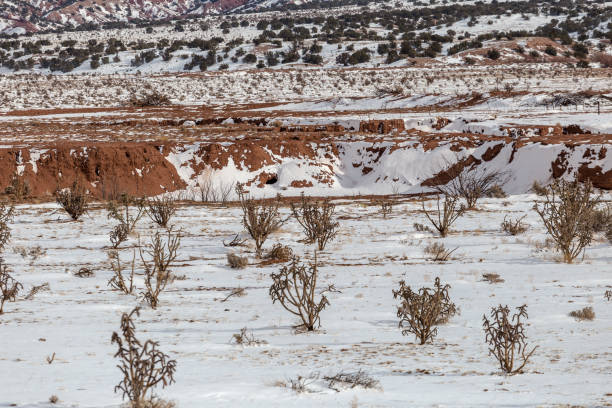 istock Small cactus plants dot open snow covered range with mountains in background in rural New Mexico 1299857452