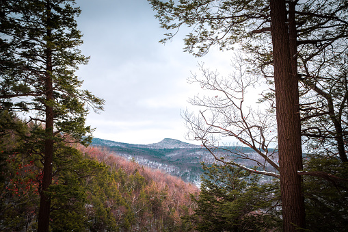 A view from atop Kaaterskill Falls in the Catskill Mountains in winter, looking out over the valley between two trees