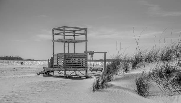 istock Beach Views in Georgia 1299858466
