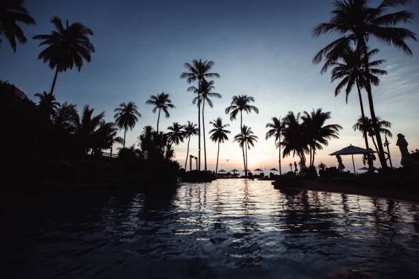 istock Tropical beach with palm trees silhouettes during the awesome sunset. 1299859818