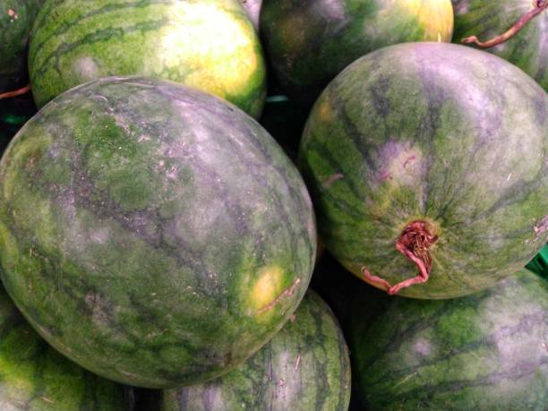 istock Watermelon is good for eating in the day time 1299864885