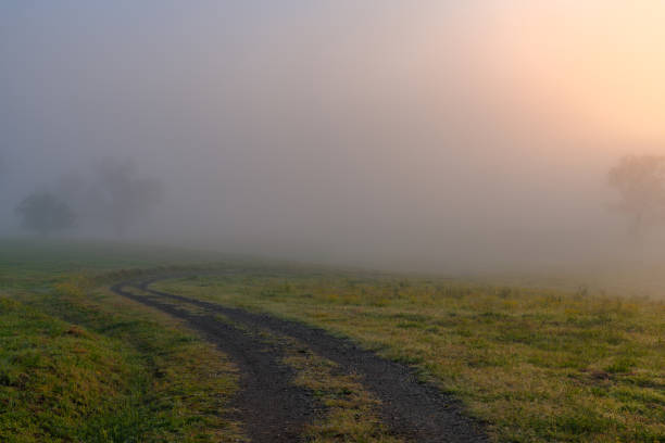 Early morning country landscape with heavy mist and trees at Gresford, Hunter Region, NSW, Australia.