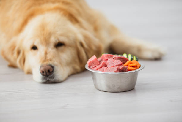 istock I'm too sleepy to eat 1299867075