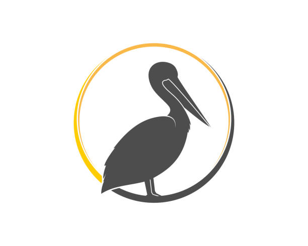 ilustrações, clipart, desenhos animados e ícones de silhueta pelicana no círculo - pelicano