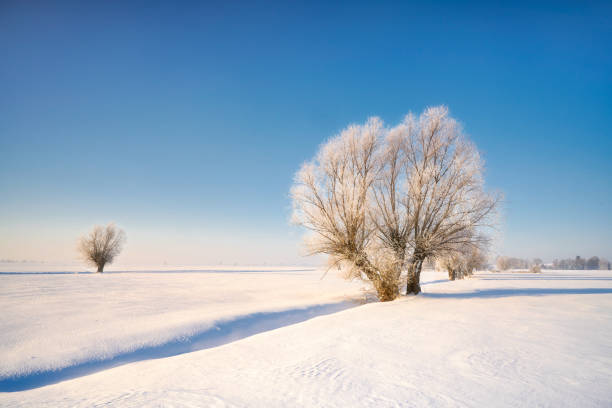 istock Winter rural landscape, Poland around Malbork 1299873197
