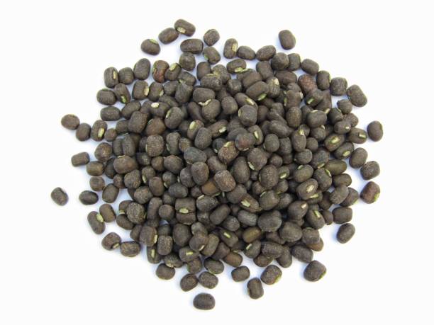 istock Black gram or Vigna mungo isolated on white background 1299874668