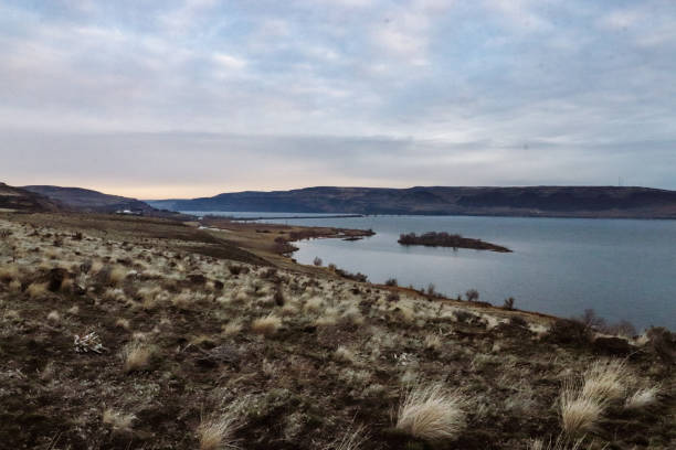 istock Columbia River in the morning 1299876859