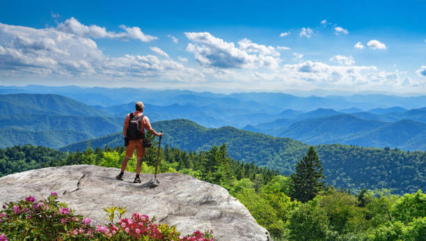 istock Hiker looking at beautiful mountain view in North Carolina. 1299876861