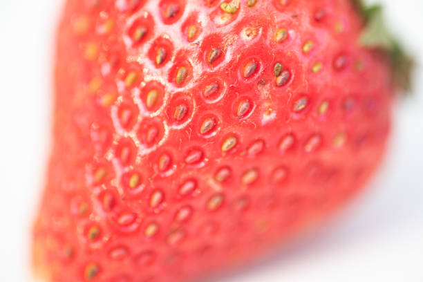 Ripe red juicy strawberries full frame shot in the studio