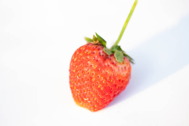 A close-up view of fresh red strawberries arranged on wooden skewers and displayed on a wooden tray.