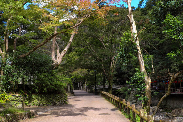 istock Hiking path in Minoh on sunny day 1299888881