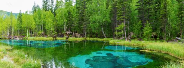 istock Geyser lake in Altay 1299888980