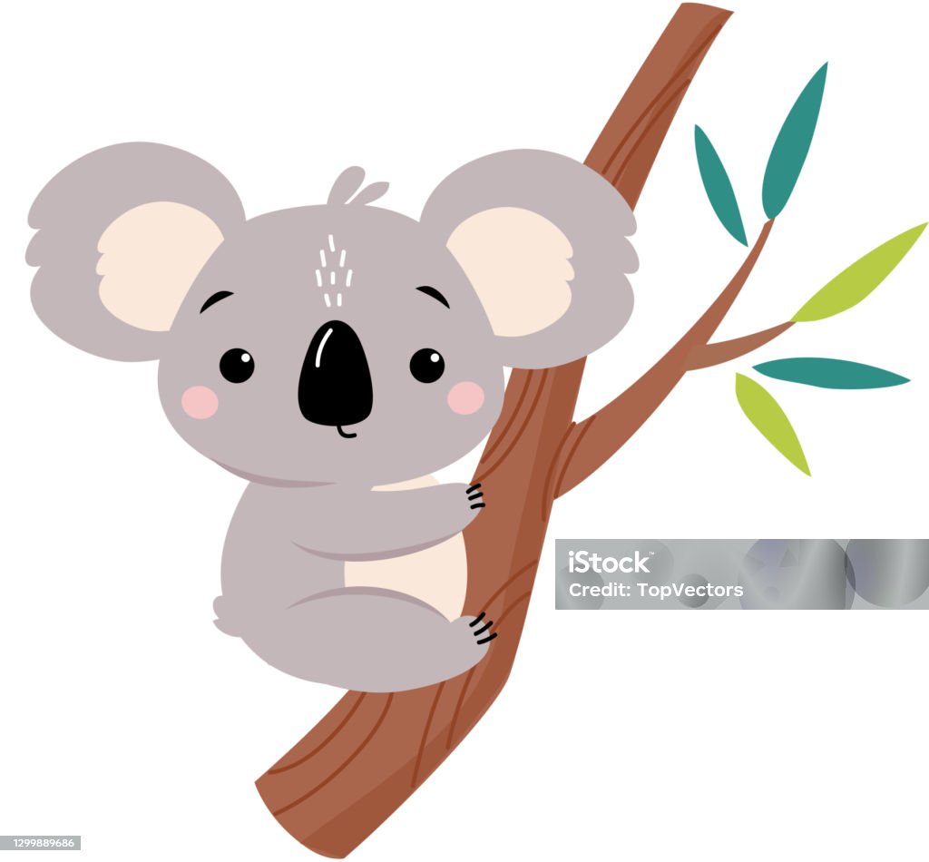 Gấu Túi Đáng Yêu Ngồi Trên Cây Bạch Đàn Hình Minh Họa Nhân Vật ...