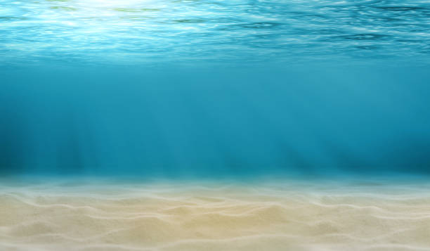 istock Underwater view of the sea 1299890828