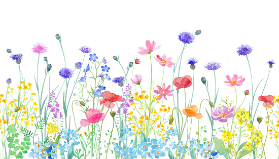 A watercolor illustration of a spring field where various flowers are in full bloom. Horizontal seamless pattern.