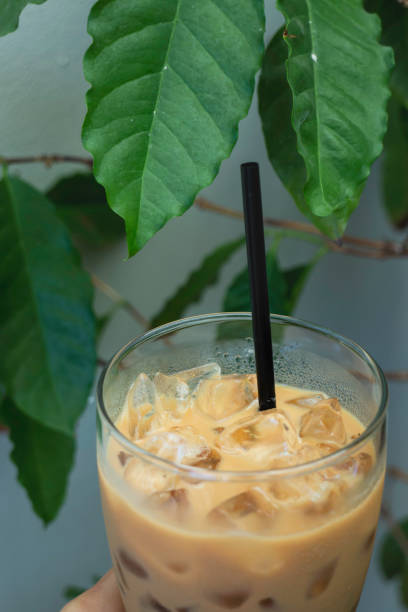 istock Iced milk coffee drink in green plant area 1299896435