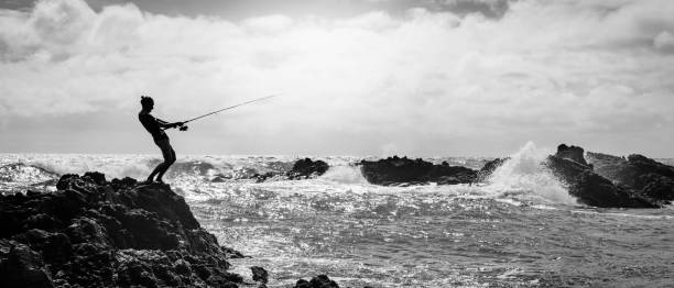 波と海岸の岩の上に立って、彼のポールで海の海を釣る漁師。 - catch of fish sport black and white activity ストックフォトと画像