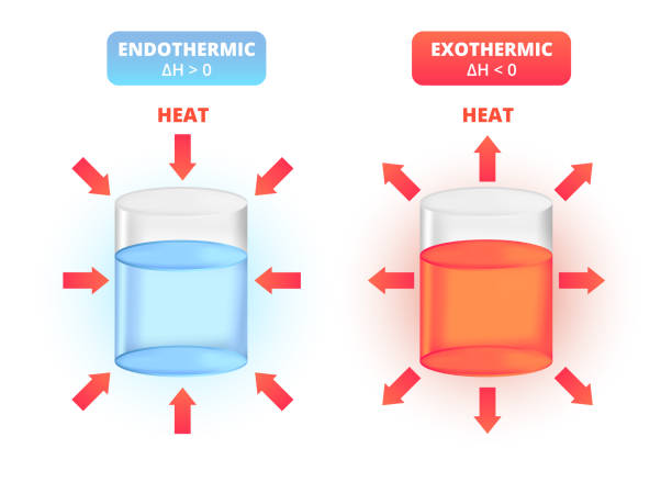 Endothermic and exothermic chemical reactions, two chemical reactions found in nature. Exo, endo, heat. Set of endothermic and exothermic reactions. Types of chemical reactions. Increase and decrease in the enthalpy H. Closed system absorbs, takes, or releases thermal energy. The icons are isolated on a white background. Cold blue and hot red or orange liquid in a beaker, flask, container. Physical chemistry, scientific illustration. high energy physics stock illustrations