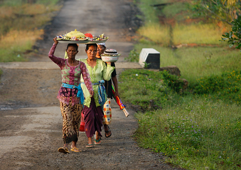 a group of elder women are lining up and carrying the offerings with their head to the cremation ceremony location.

This Hinduism traditional cremation ceremony is called Ngaben.