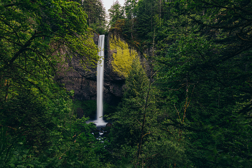 Latourell Falls is a waterfall along the Columbia River Gorge in the U.S. state of Oregon.
