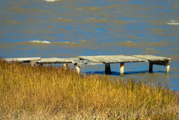 Photo of The old wooden bridge walkway at a pond with reeds and grass. California, United States